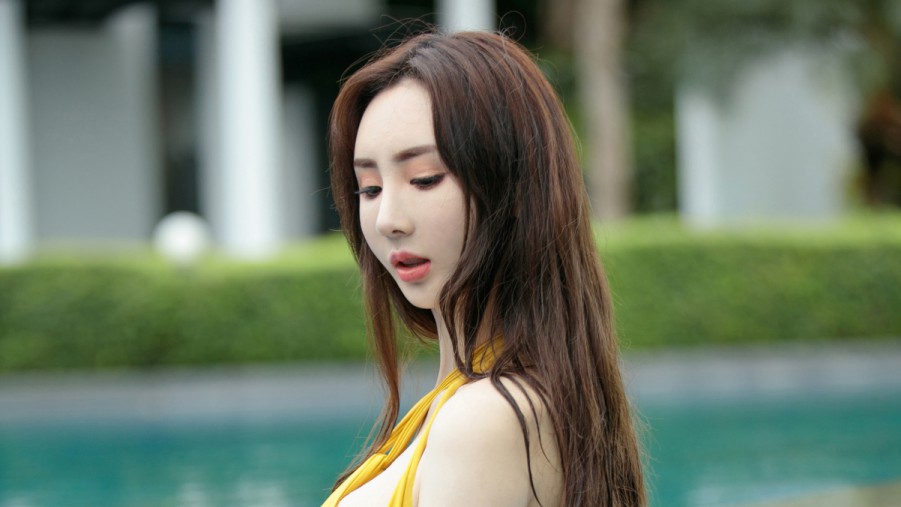 幼犬训练常见问题，一次说清楚